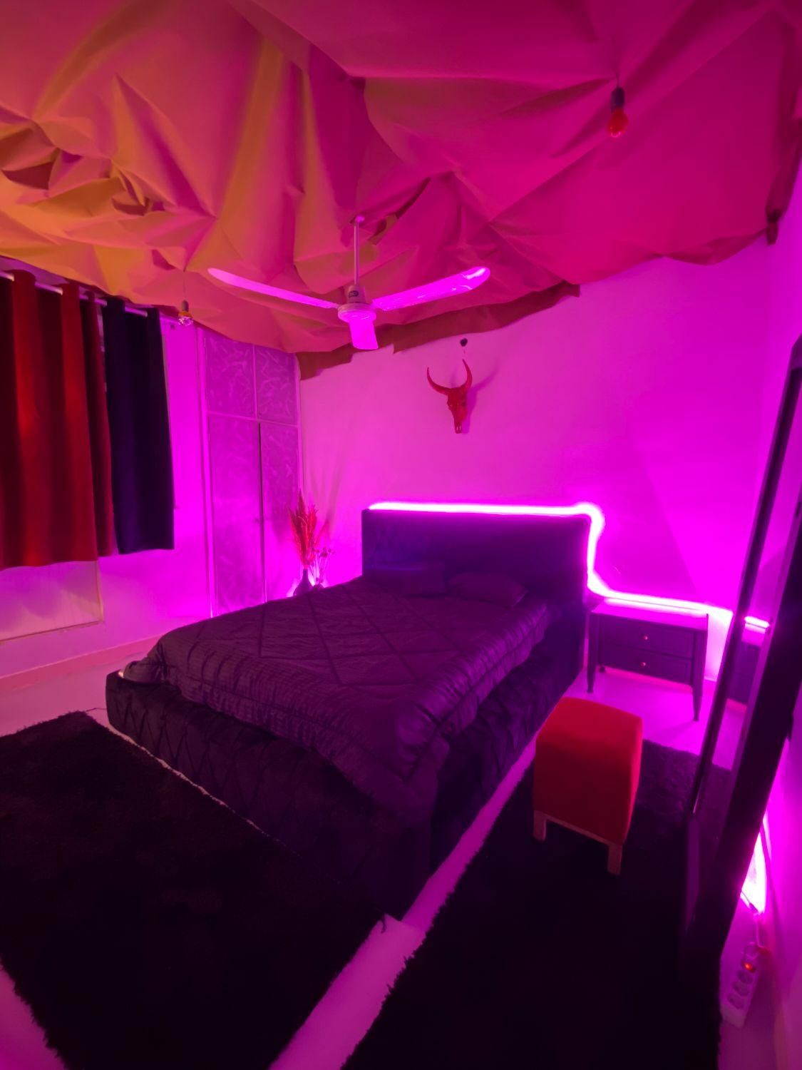 اجاره خانه مبله شیک و مدرن|اجارهٔ کوتاهمدت آپارتمان و سوئیت|بوشهر, |دیوار