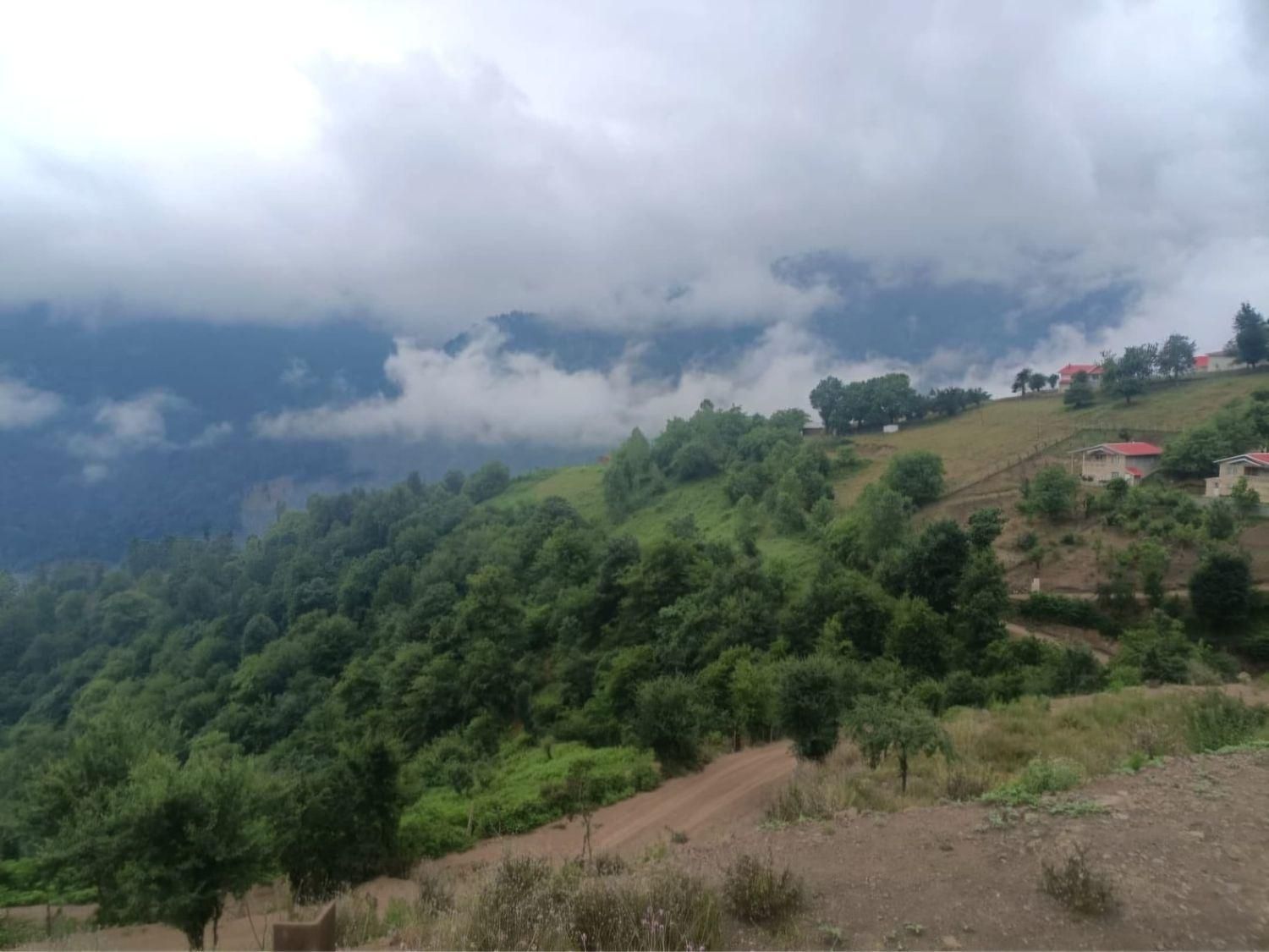 ۱۱۰۰متر بافت مسکونی *ییلاق ایربو* تالش|فروش زمین و ملک کلنگی|تالش, هشتپر|دیوار