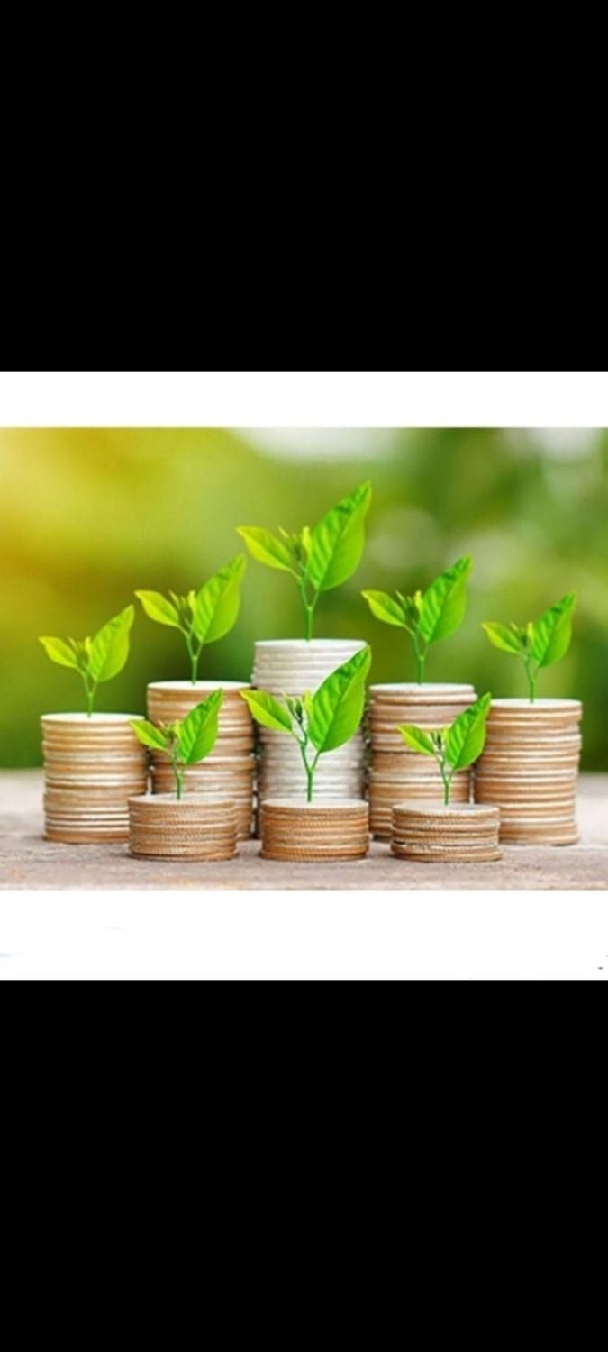 پیشنهاد شراکت کاری با سود خوب ، خانم یا اقا|فعالیت داوطلبانه|رشت, بلوار گیلان|دیوار