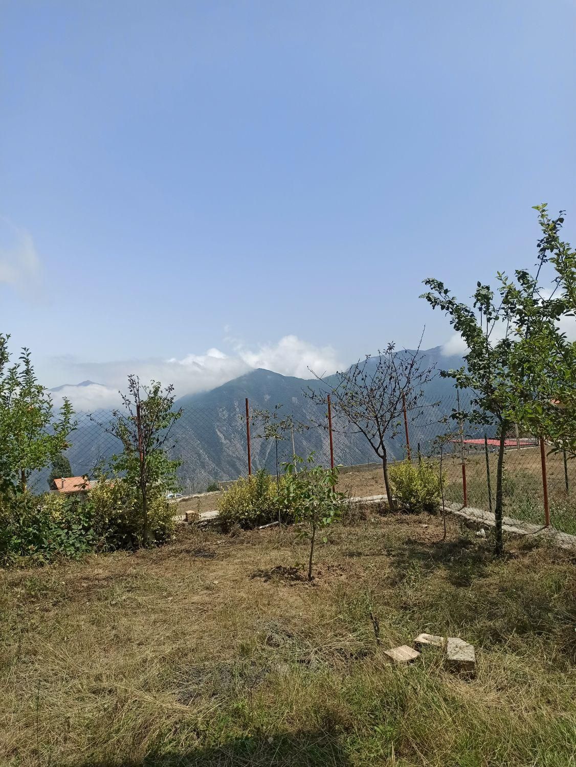 فروش زمین باغی ۴۰۰ متری باغگلبن|فروش زمین و ملک کلنگی|گرگان, |دیوار