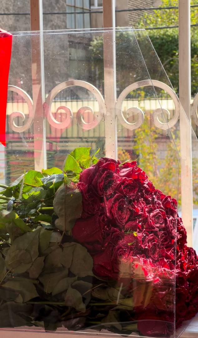 گل رز هلندی|گل و گیاه طبیعی|تهران, دریا|دیوار