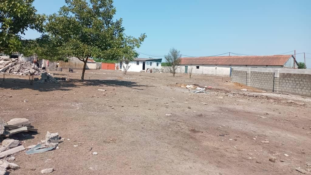 شریک و سرمایه گذاری در گاوداری پرواربندی ه گوشتی|حیوانات مزرعه|تهران, ائمه اطهار|دیوار