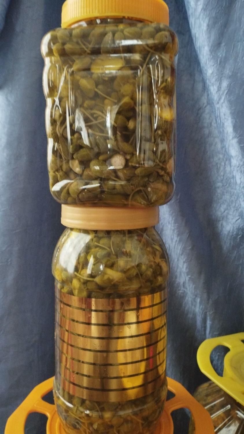 فروش ترشی گلک موسیر و غنچه گلک کاملا بهداشتی|خوردنی و آشامیدنی|شیراز, شهرک فرهنگیان|دیوار