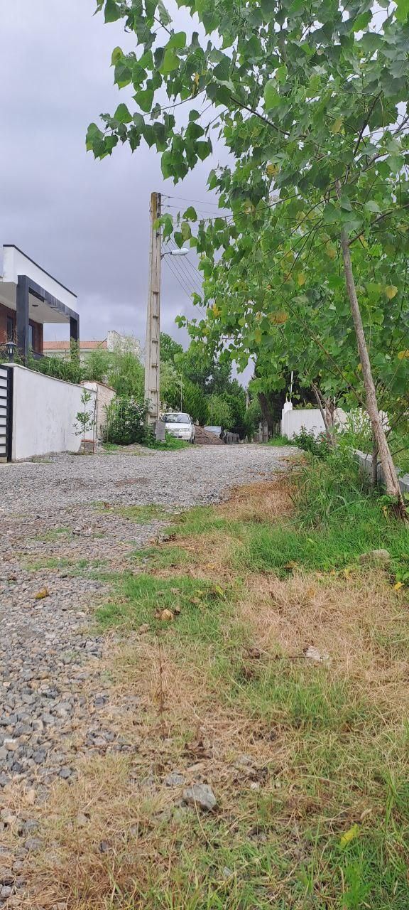 زمین شهرکی ۳۲۰متری درمجتمع مسکونی کوچه اختصاصی|فروش زمین و ملک کلنگی|آمل, |دیوار