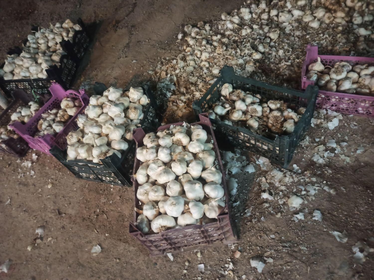 سیر|خوردنی و آشامیدنی|اصفهان, سرشبادران|دیوار