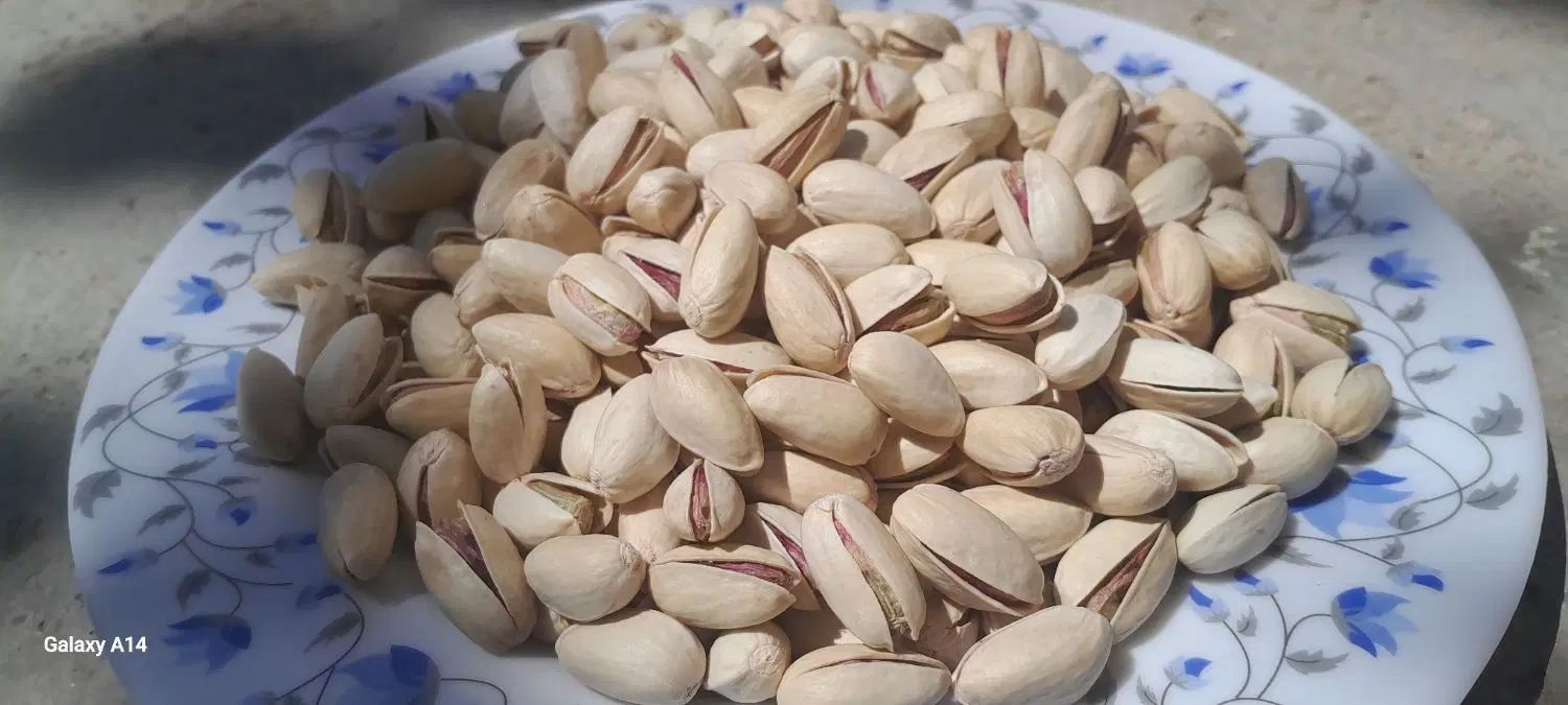 پسته تازه سفید خشک ارگانیک اعلاء کیلوی۸۵۰۰۰۰|خوردنی و آشامیدنی|مشهد, اروند|دیوار