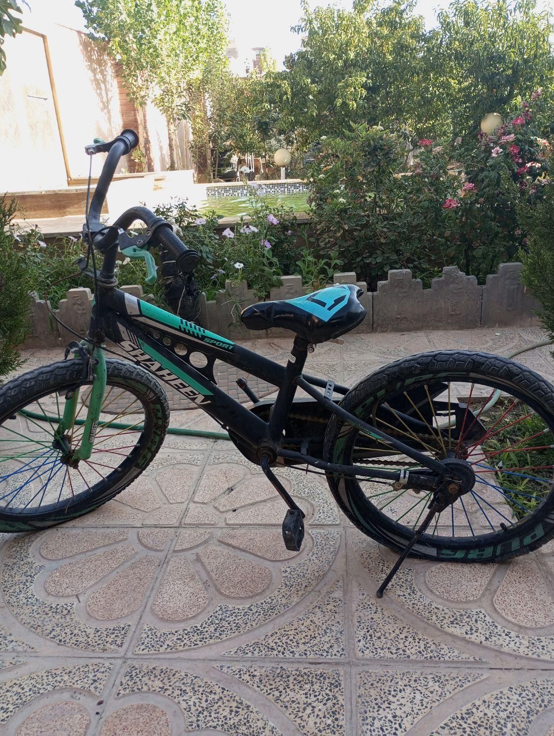 دوچرخه 20شاهین|دوچرخه، اسکیت، اسکوتر|کرمان, |دیوار