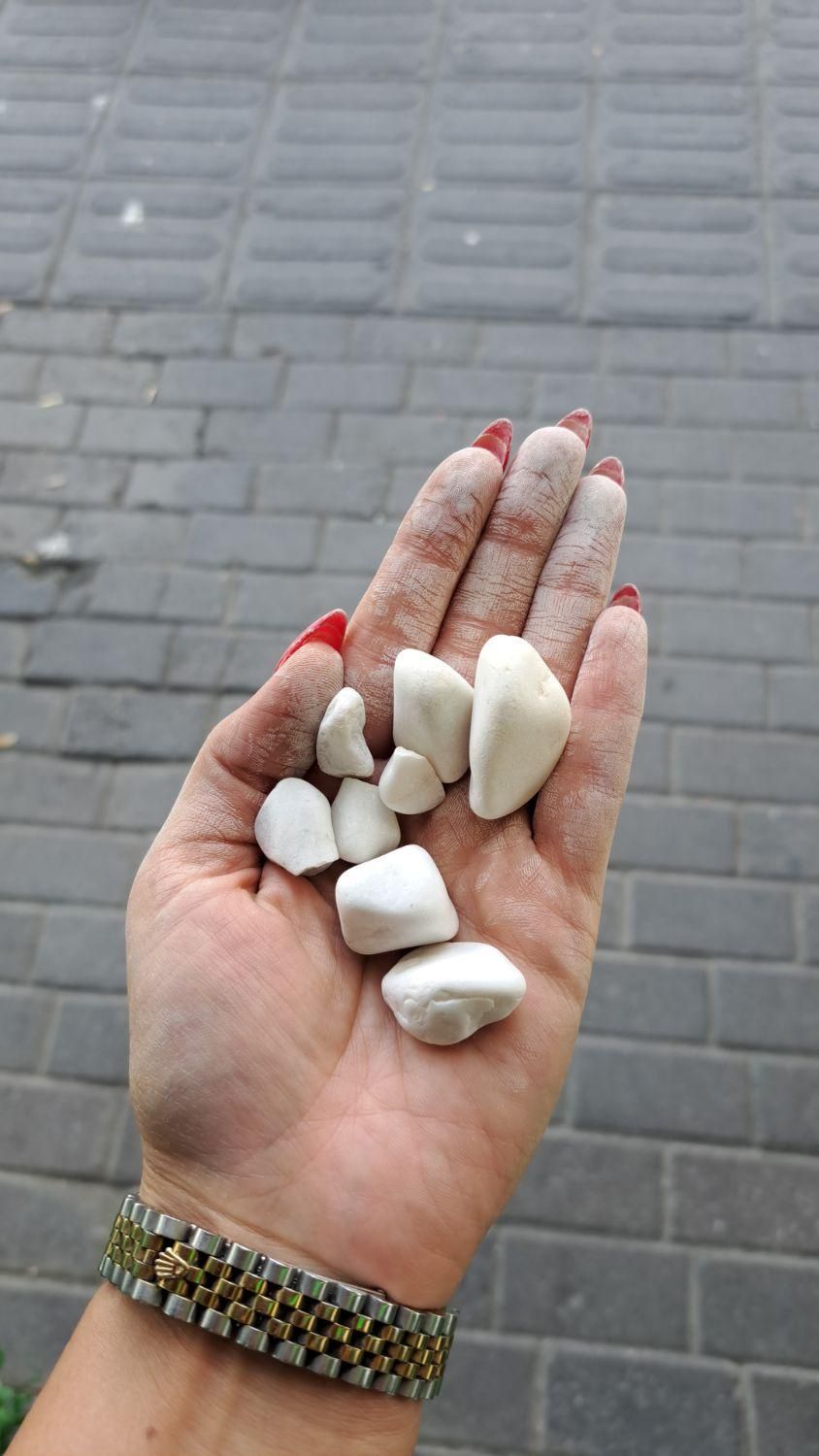 سنگ بدون رگه و بدون اهک|خدمات باغبانی و درختکاری|تبریز, |دیوار