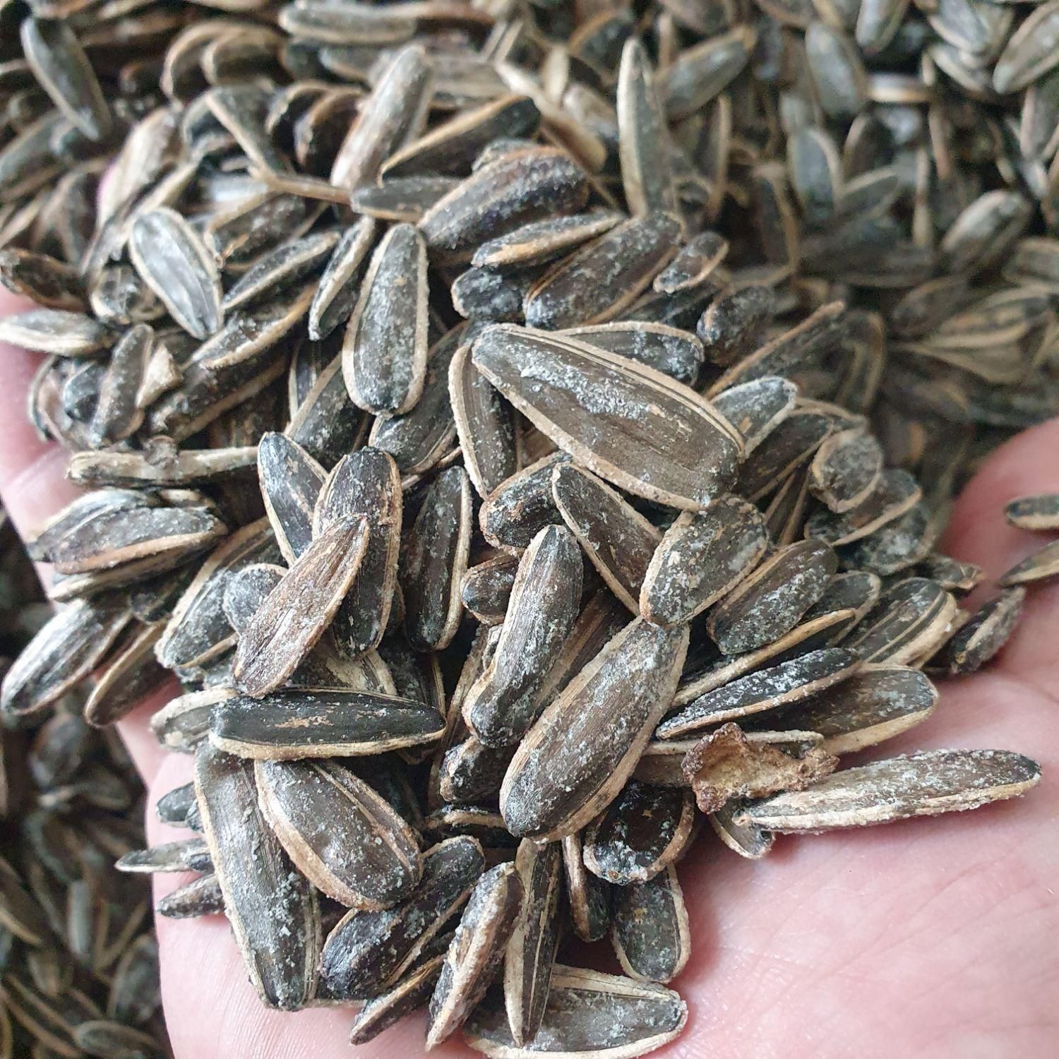 تخمه بساطی .تخمه چینی.تخمه بازار روز. تخمه طعم دار|عمده‌فروشی|تهران, وردآورد|دیوار