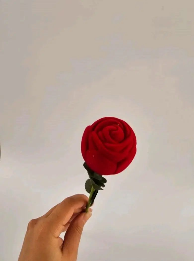 جعبه انگشتر مخمل|جواهرات|اصفهان, آفاران|دیوار