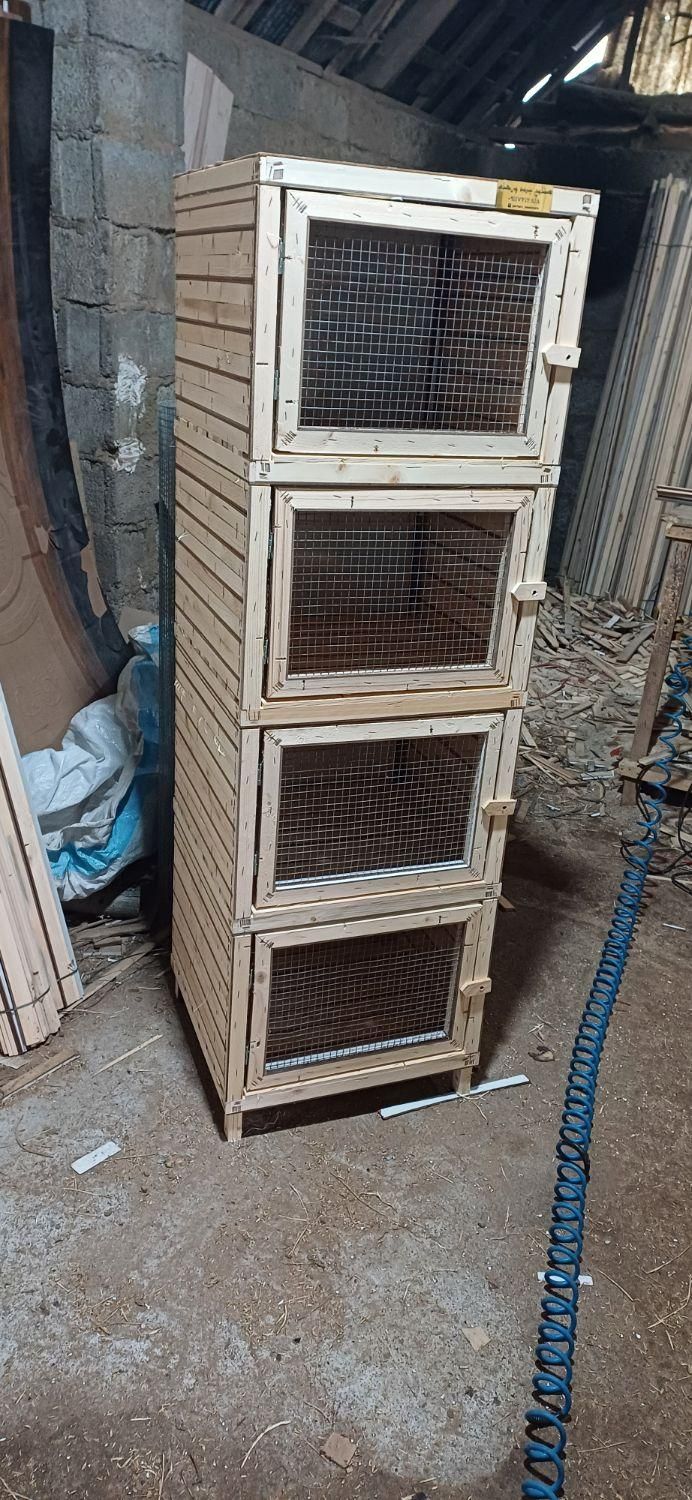 لانه پرنده پران کبوتر|لوازم جانبی حیوانات|رشت, گلسار|دیوار