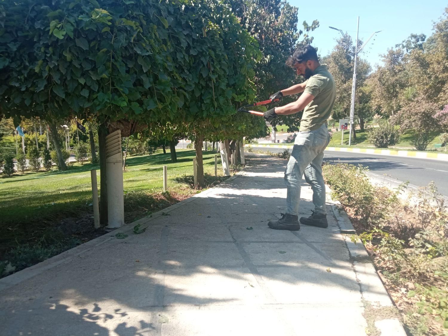 خدمات باغبانی و فضای سبز|خدمات باغبانی و درختکاری|قدس, شهر‌قدس|دیوار