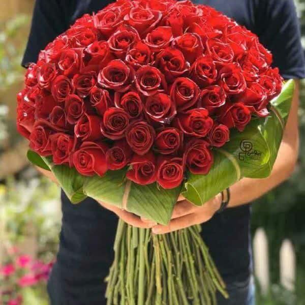 دسته گل رز ۵۰ شاخه ای|گل و گیاه طبیعی|مشهد, سجاد شهر|دیوار