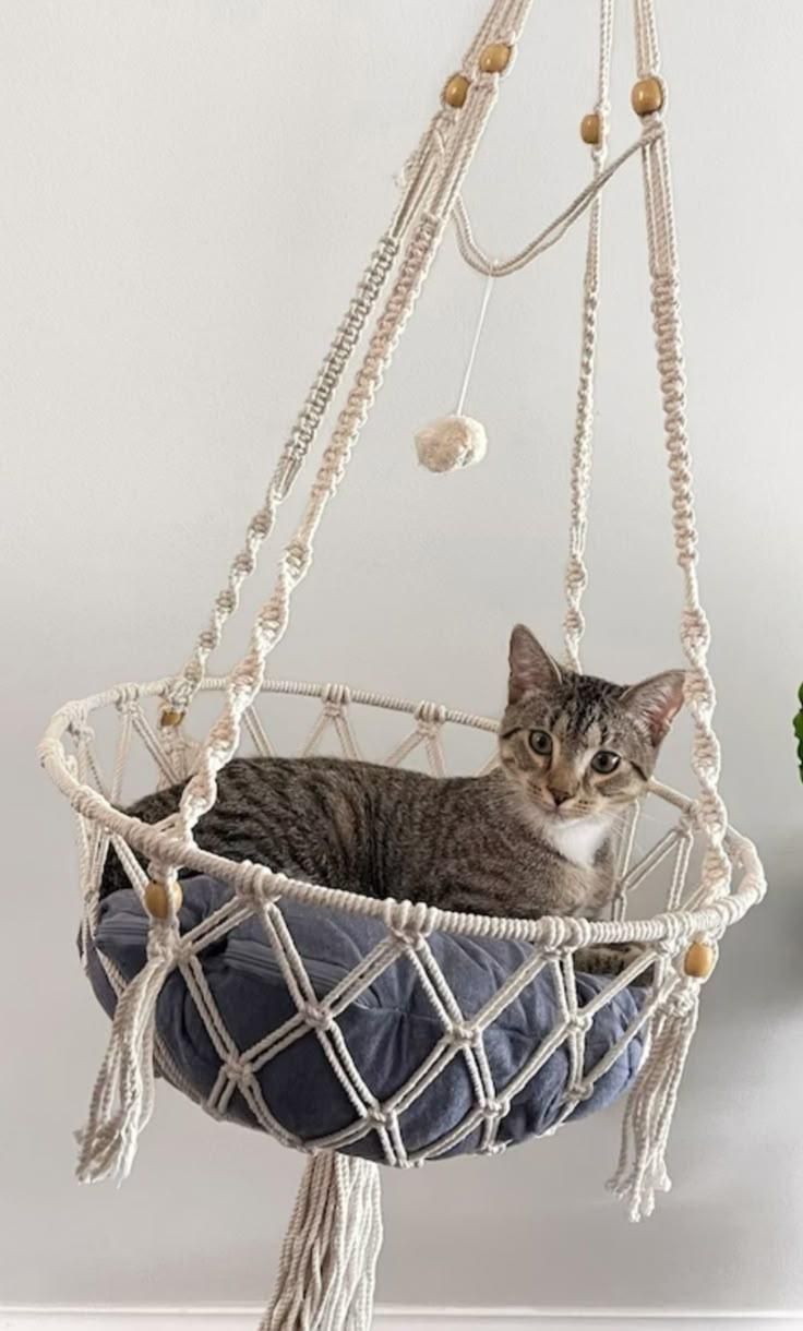 تاب و جا خواب پت مکرومه ای|لوازم جانبی حیوانات|بابل, |دیوار