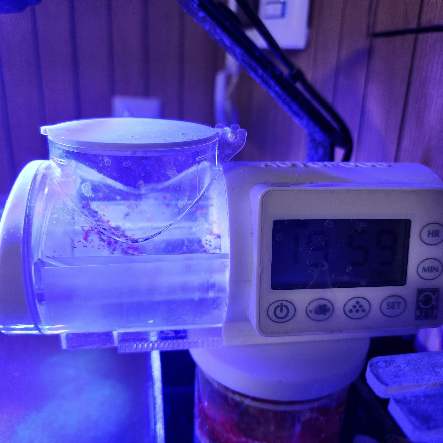 فروش تجهیزات آکواریوم آب شور|ماهی|اصفهان, پروین|دیوار