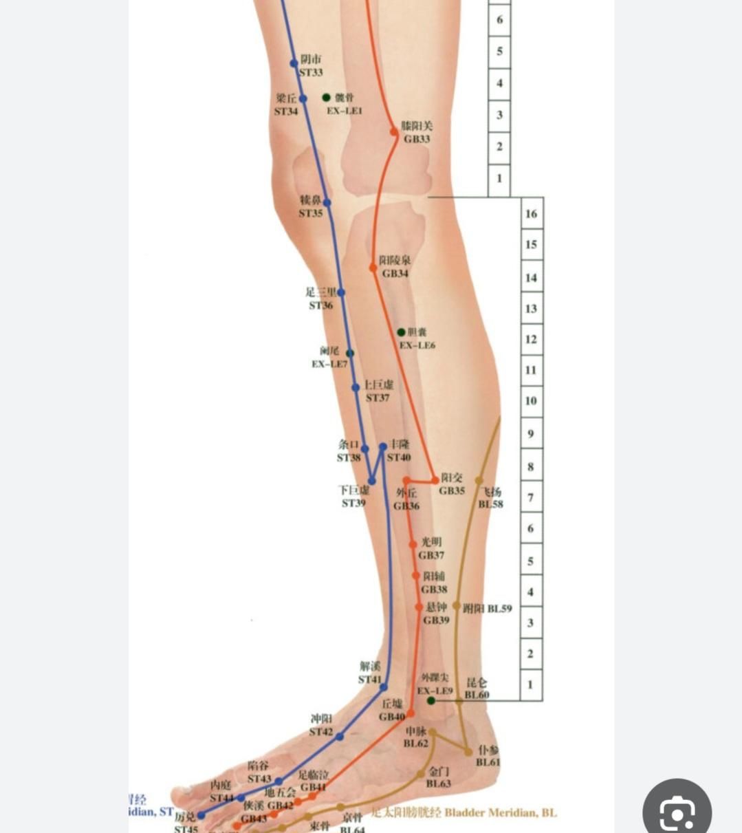 فیزیوتراپی ،طب سوزنی ،طب فیزیکی در منزل|خدمات آرایشگری و زیبایی|قم, باسکول|دیوار
