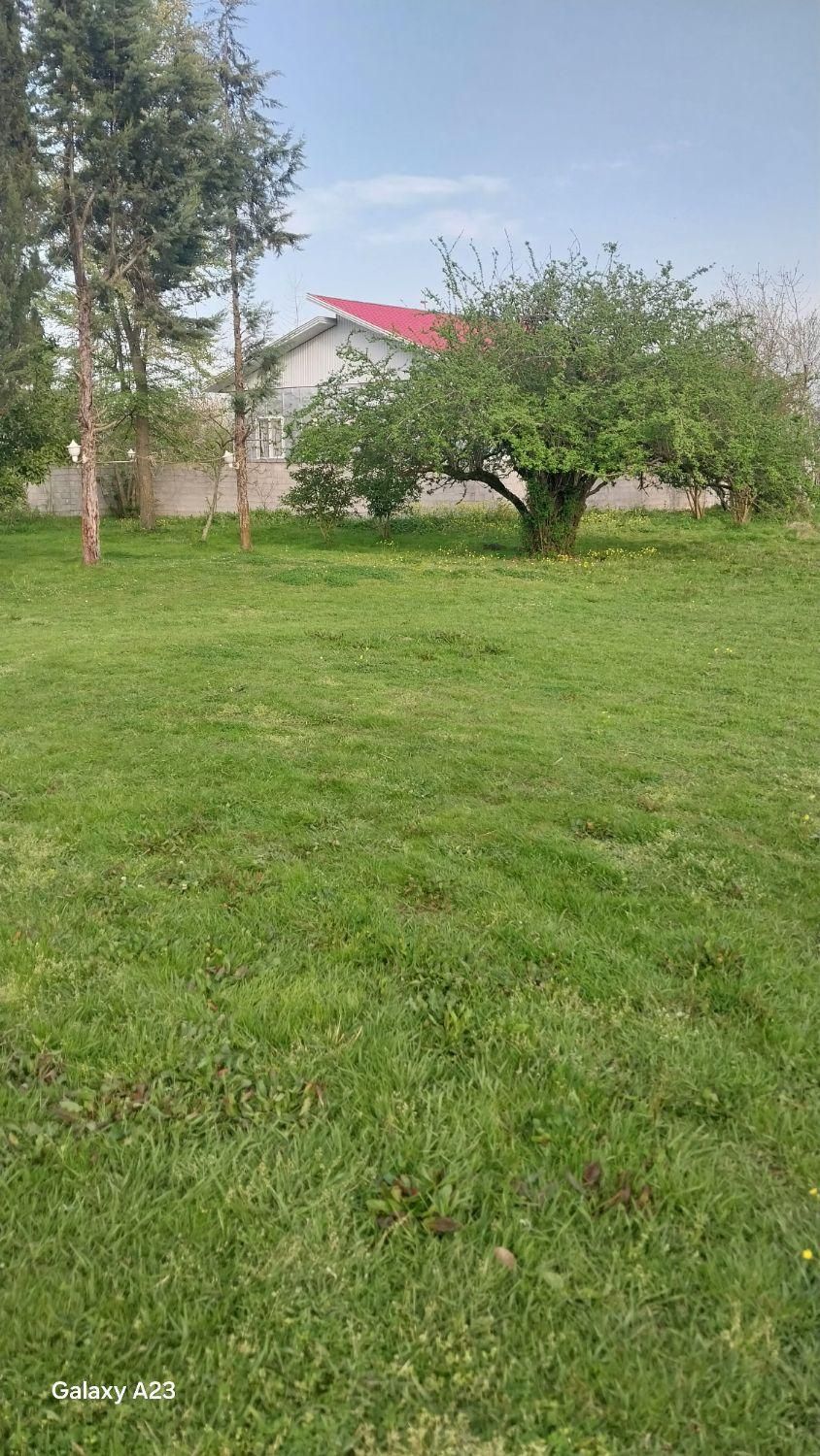 فروش زمین ۵۰۰ متری کاملن مسکونی|فروش زمین و ملک کلنگی|شاندرمن, |دیوار