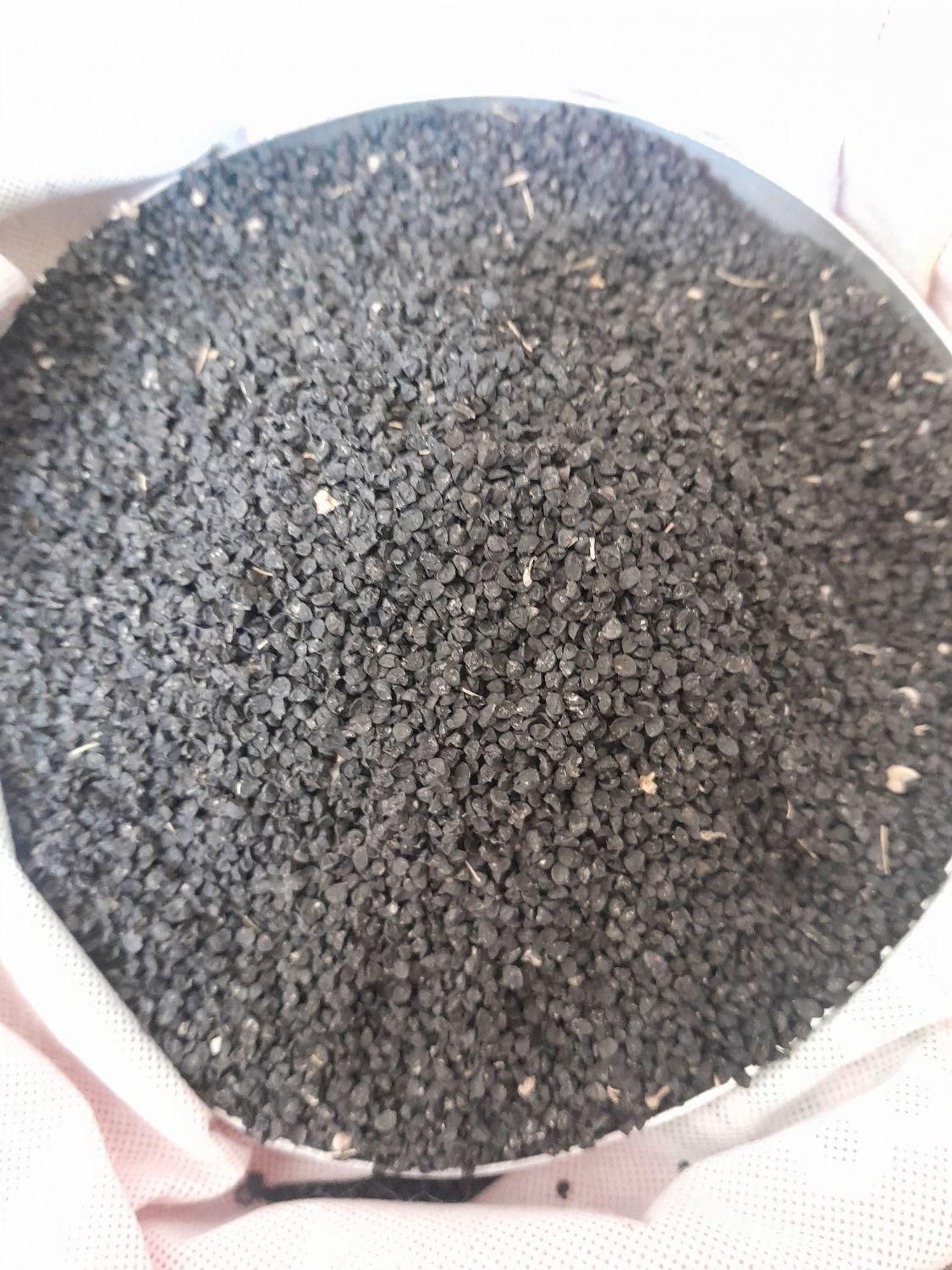 بذرپیاز|گل و گیاه طبیعی|کازرون, |دیوار