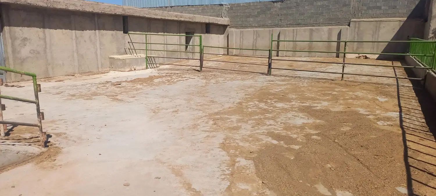 سلام فروش دامداری ۱۴۰۰ متری چهار دنگ از شش دنگ|فروش دفتر صنعتی، کشاورزی، تجاری|بروجن, |دیوار