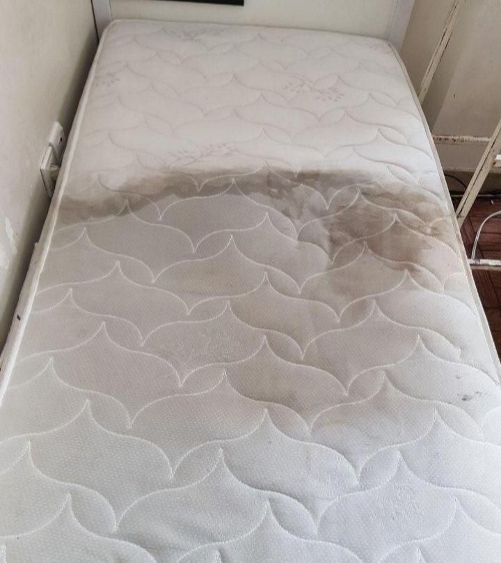 شستشو مبل در منزل|خدمات نظافت|کازرون, |دیوار