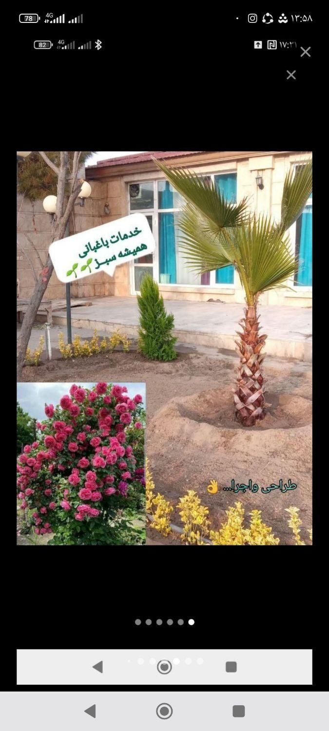 خدمات باغبانی تیلرزنی هرس کاری گل کاری و سمپاشی|خدمات باغبانی و درختکاری|مشهد, وکیل‌آباد|دیوار