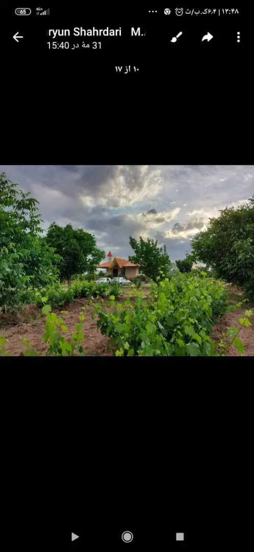 فروش زمین ۴۰۰متری فنوش آباد کوچه ارغوان|فروش زمین و ملک کلنگی|خرمدره, |دیوار