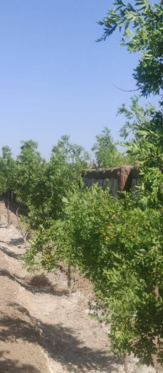 تصویر 8