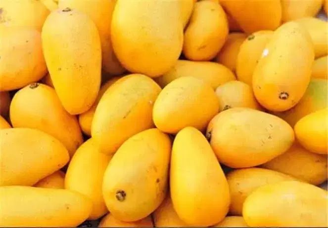 انبه پاکستانی|خوردنی و آشامیدنی|اصفهان, راران|دیوار