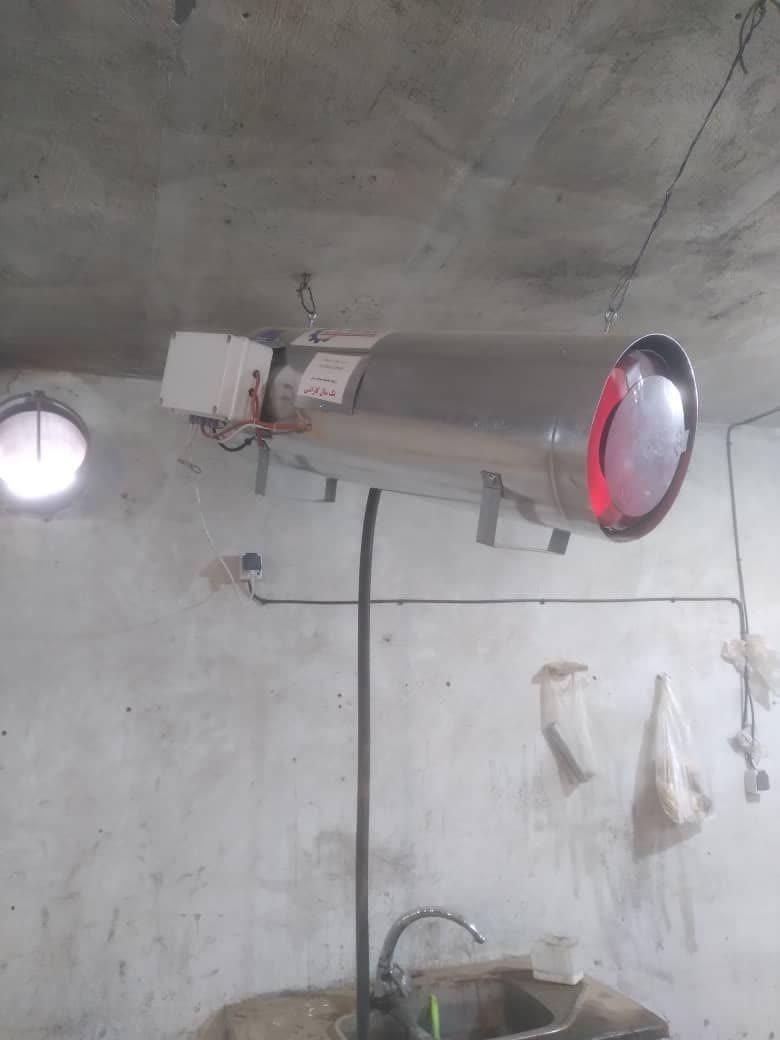 فروش نهال ایلام