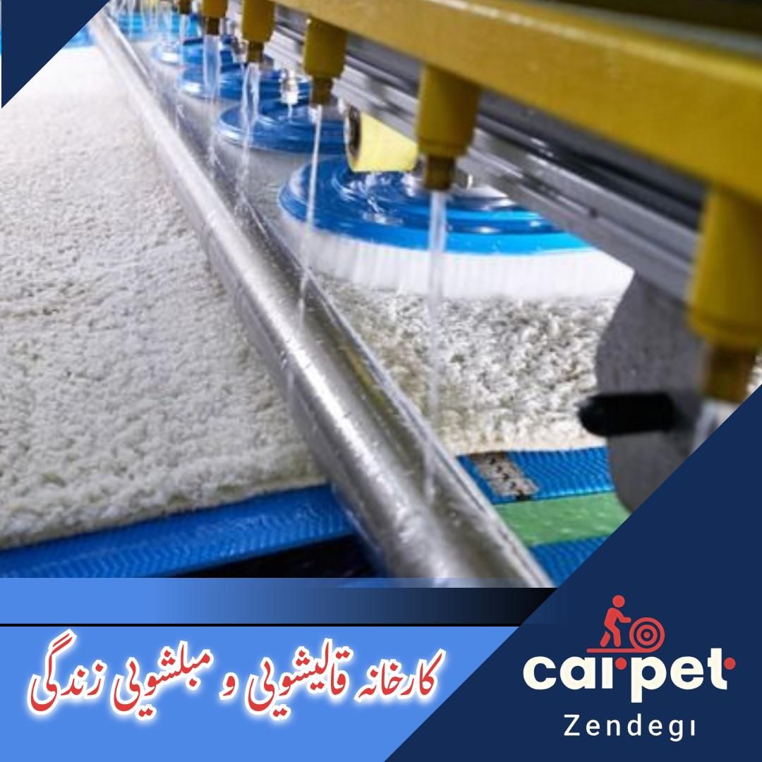 کارخانه قالیشویی و مبلشویی زندگی|خدمات نظافت|تهران, امیرآباد|دیوار