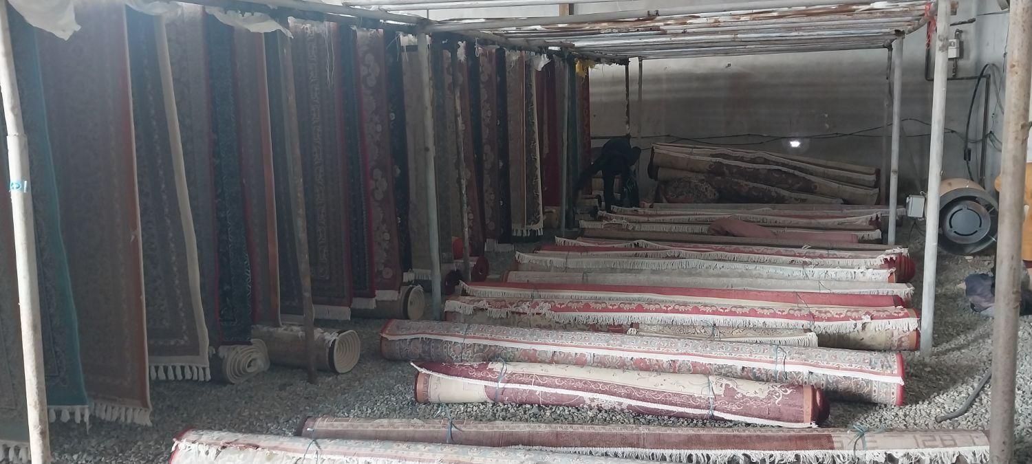 قالیشویی ثامن|خدمات نظافت|دورود, |دیوار