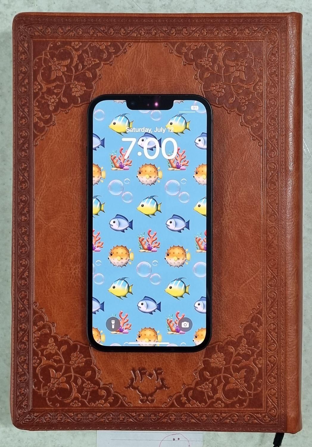 اپل iPhone 13 پک اصلی مشابه نو دوسیم سری M|موبایل|خمین, |دیوار