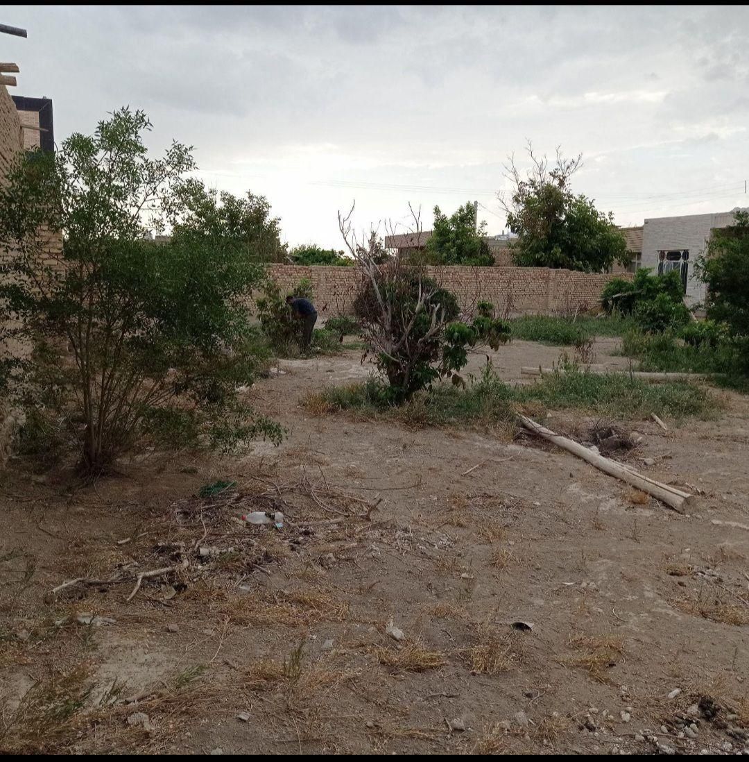 خانه قدیمی  ۶۱۸متر|فروش خانه و ویلا|پیر بکران, |دیوار