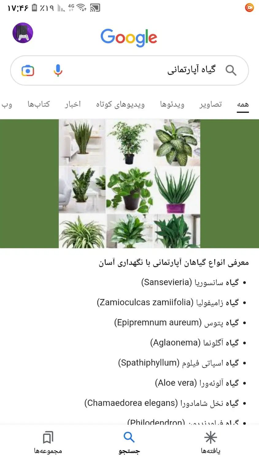 انواع گل و گیاه آپارتمانی|گل و گیاه طبیعی|تهران, اوین|دیوار