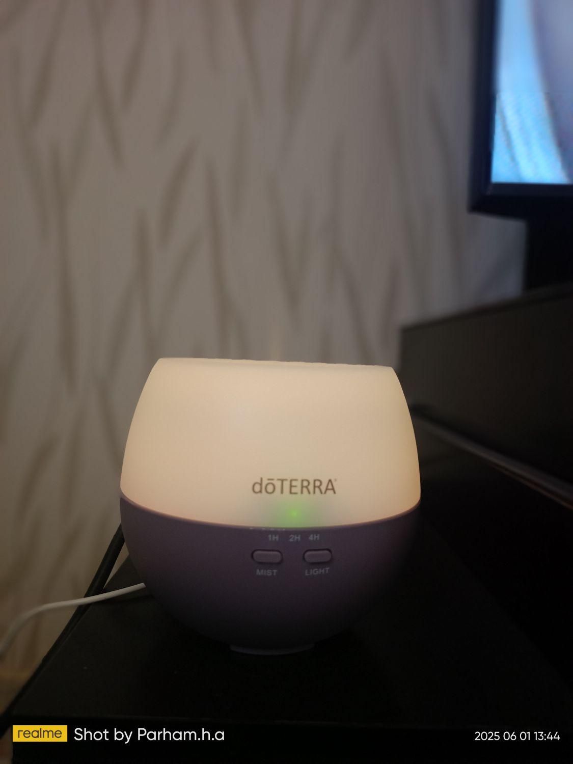 فروش ۱۰۰ عدد دستگاه بخورdoterra یکجا|پنکه و تصفیه‌کنندهٔ هوا|تهران, آرژانتین|دیوار