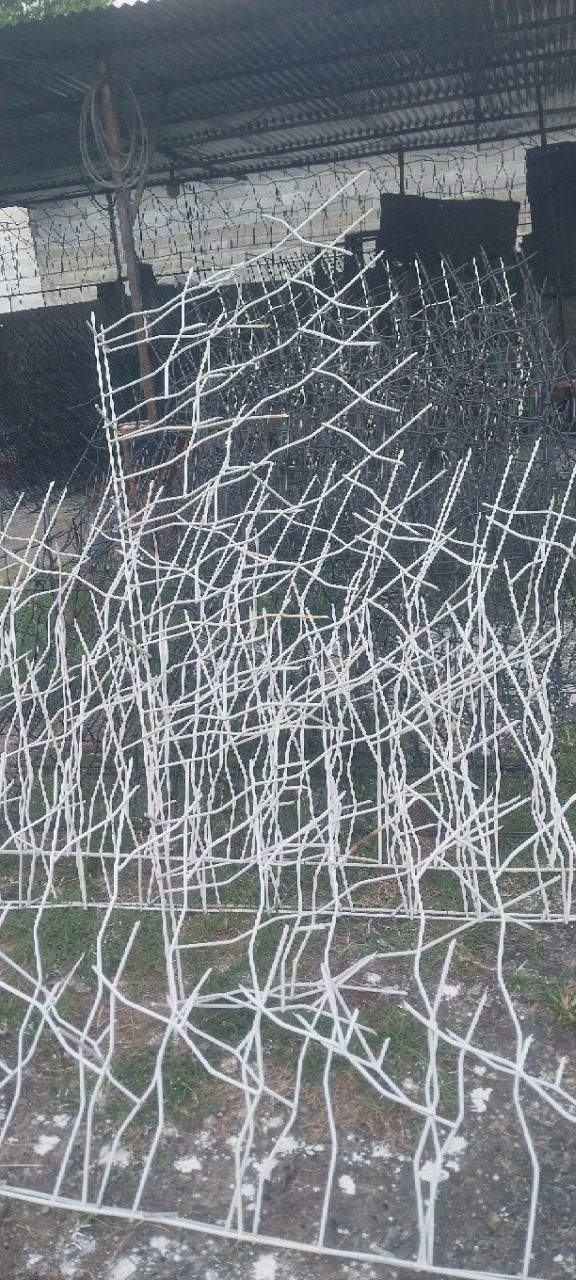 پخش شاخ گوزنی همراه با نصب|مصالح و تجهیزات ساختمان|آمل, |دیوار