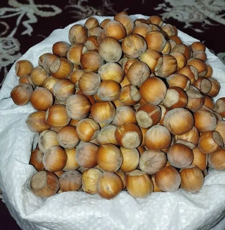 فندق درجه‌1|خوردنی و آشامیدنی|تهران, کن|دیوار