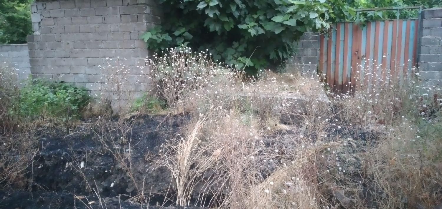 تراشیدن علف هرز وسمپاشی|خدمات باغبانی و درختکاری|آستانه اشرفیه, |دیوار