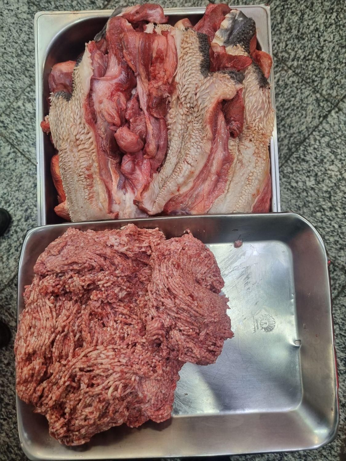 گوشت سر گوساله آبگوشتی وچرخی کیلو ۲۹۹۰۰۰|خوردنی و آشامیدنی|قم, ارم|دیوار