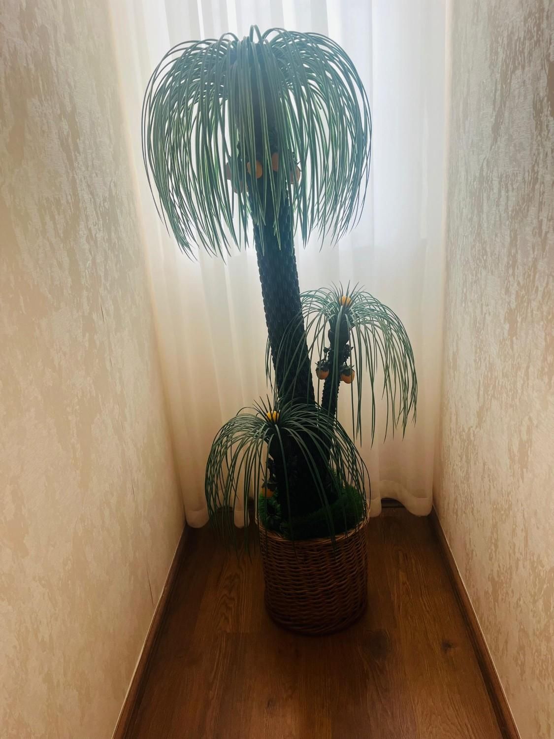 درختچه مصنوعی همراه با گلدان حصیری|گل مصنوعی|بندر انزلی, معلم|دیوار