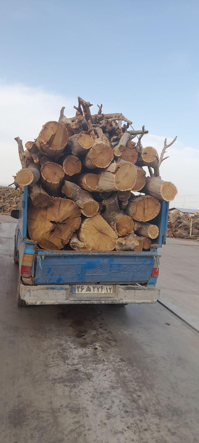 خرید وفروش چوبای باغی وسقفی وبرش درخت|عمده‌فروشی|مشهد, خواجه ربیع|دیوار