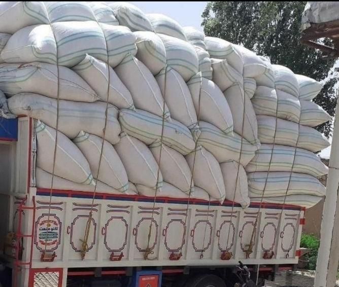 فروش و ارسال کاه گندم دیم کلش گندم دیم|لوازم جانبی حیوانات|خمینیشهر, |دیوار