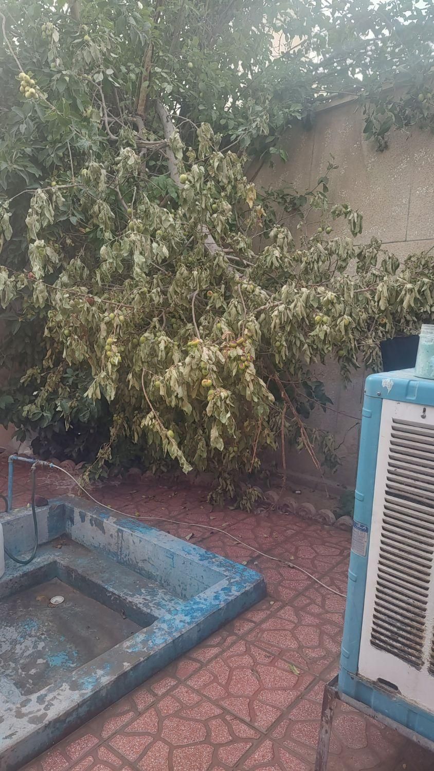 سازنده‌ها بخونن/ خانه۳۲۸ متری لنبان/ باپروانه ساخت|فروش زمین و ملک کلنگی|اصفهان, لنبان|دیوار