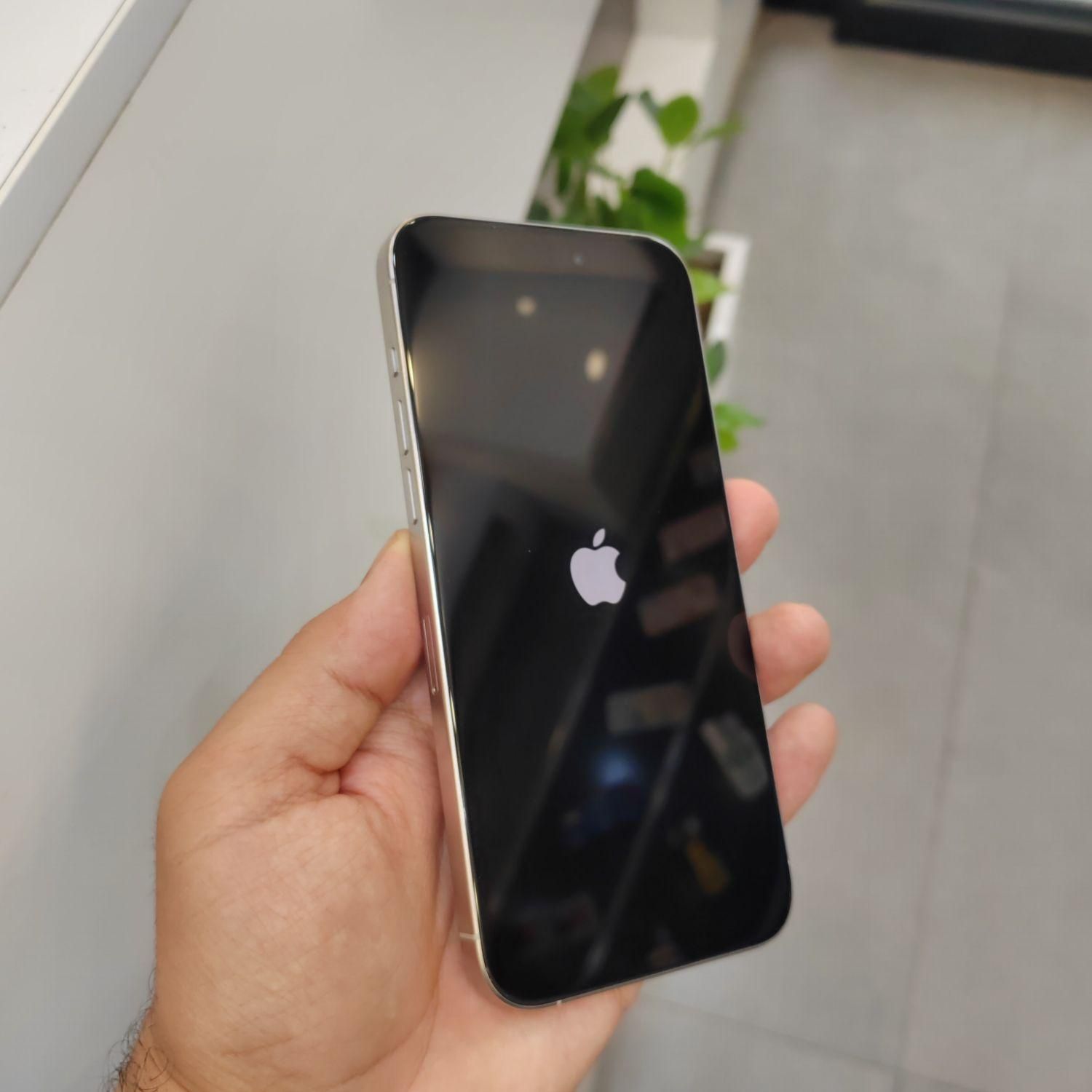 اپل iPhone 15 Pro Max با حافظهٔ ۲۵۶ گیگ درحد نو|موبایل|اصفهان, چرخاب|دیوار
