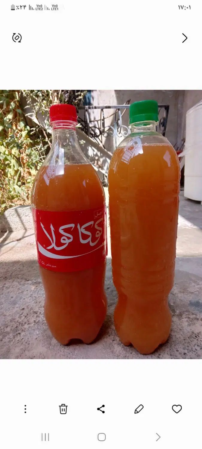 آبغوره بی نمک خالص و تازه|خوردنی و آشامیدنی|کرج, شهرک سهرابیه|دیوار