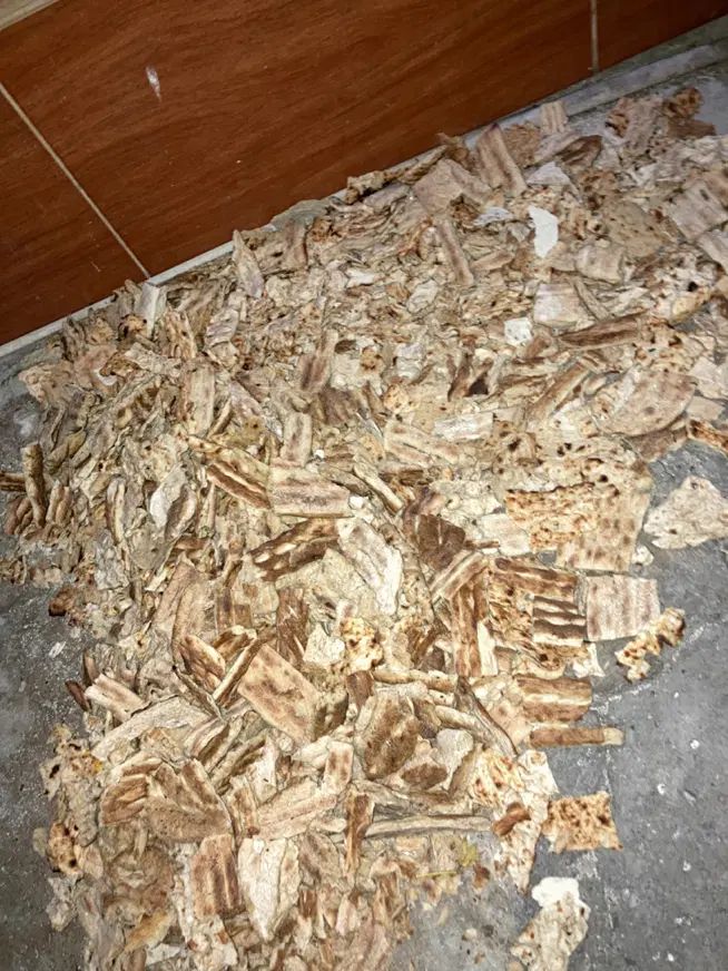 نان خشک|خوردنی و آشامیدنی|رشت, استقامت ۱|دیوار