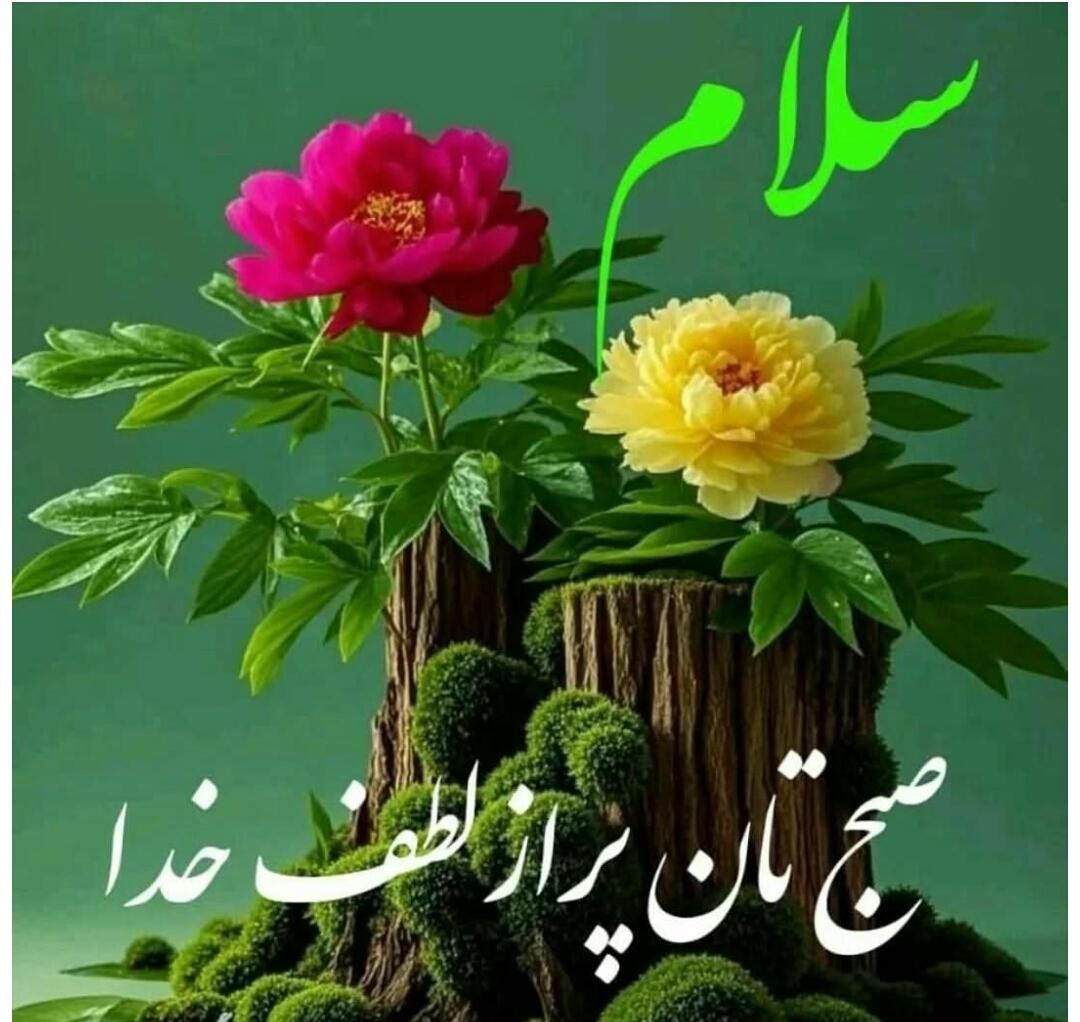 مشاوره رابطه موفق|خدمات آموزشی|تهران, پاسداران|دیوار