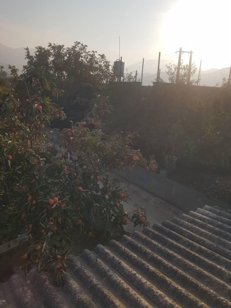 دامداری صنعتی|فروش دفتر صنعتی، کشاورزی، تجاری|گنبد کاووس, |دیوار