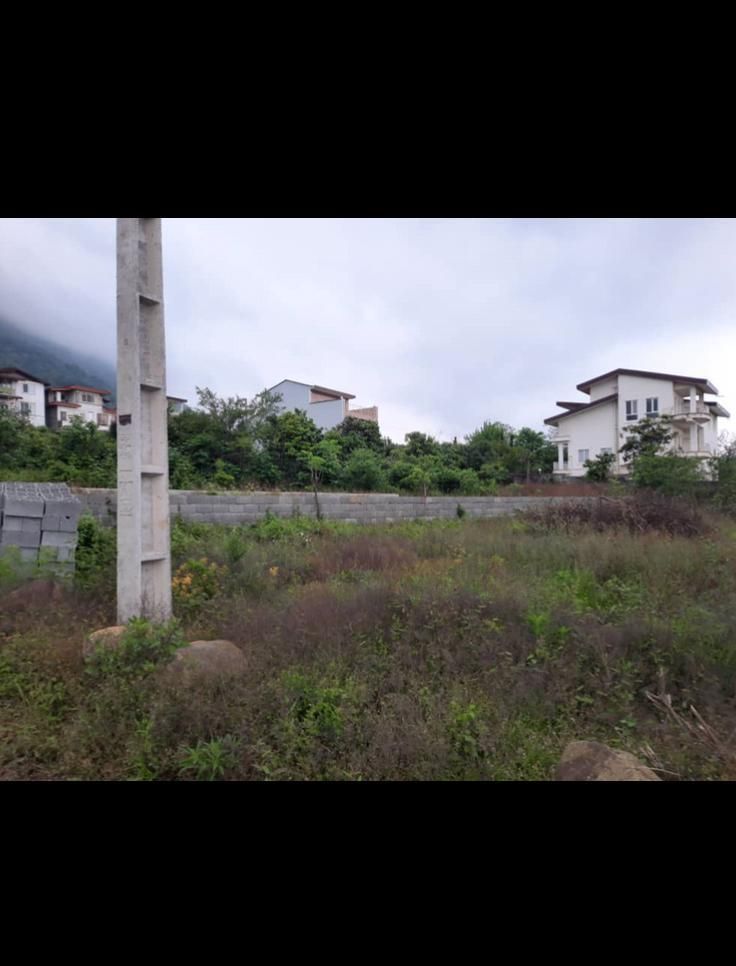 فروش زمین جنگلی باسند تک برگ|فروش زمین و ملک کلنگی|چابکسر, |دیوار