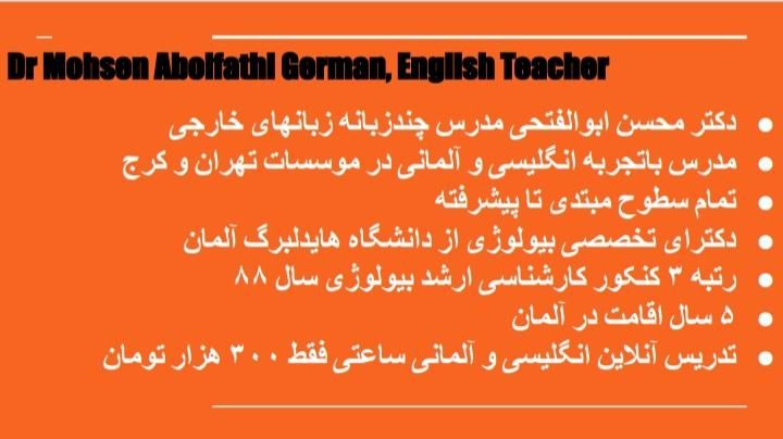 تدریس خصوصی آلمانی و انگلیسی آنلاین استاد چندزبانه|خدمات آموزشی|محمدشهر, محمدشهر|دیوار